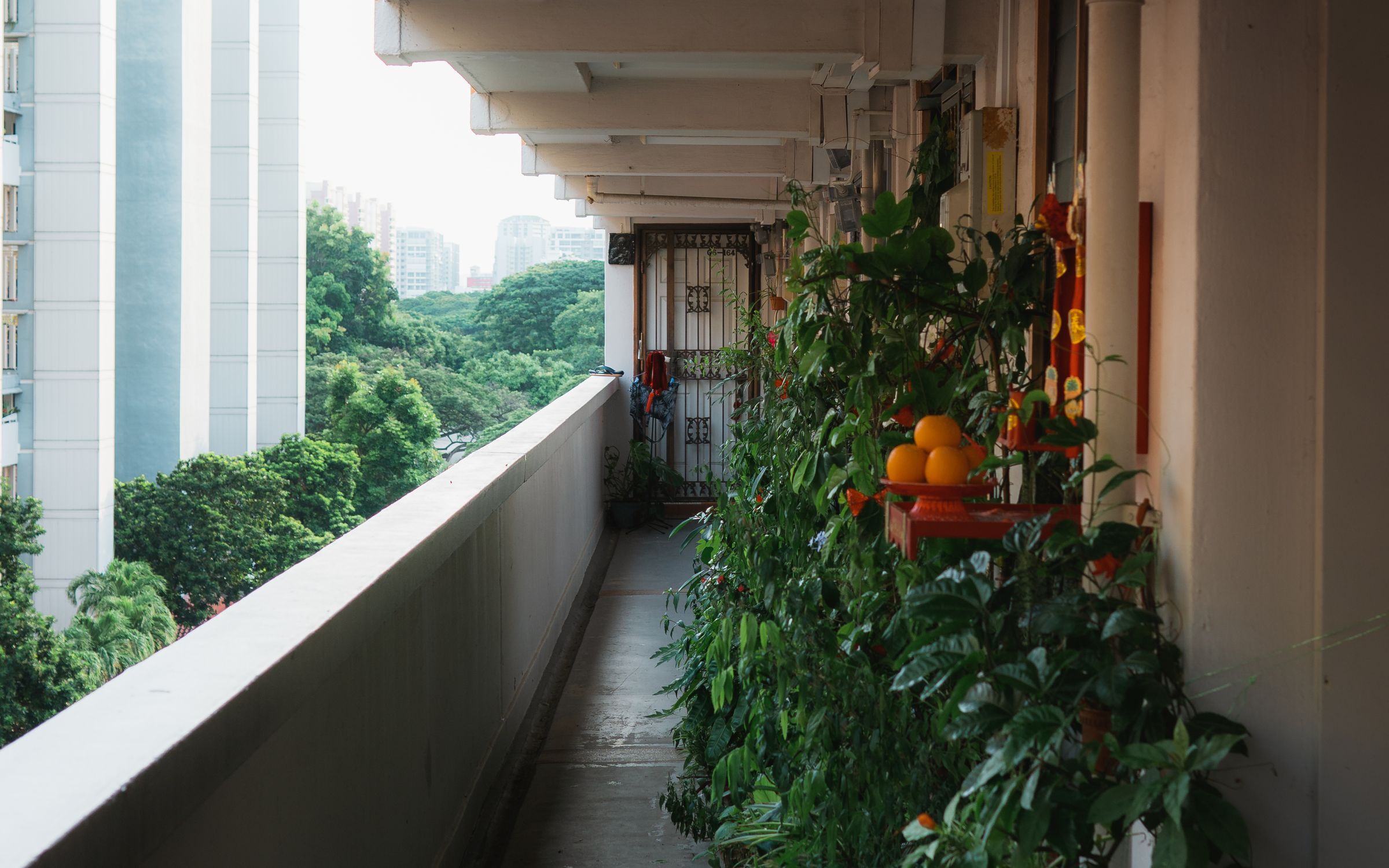 Balkon pełen roślin w popołudniowym świetle